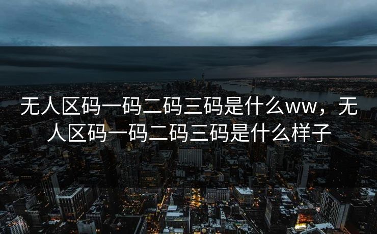 无人区码一码二码三码是什么ww，无人区码一码二码三码是什么样子