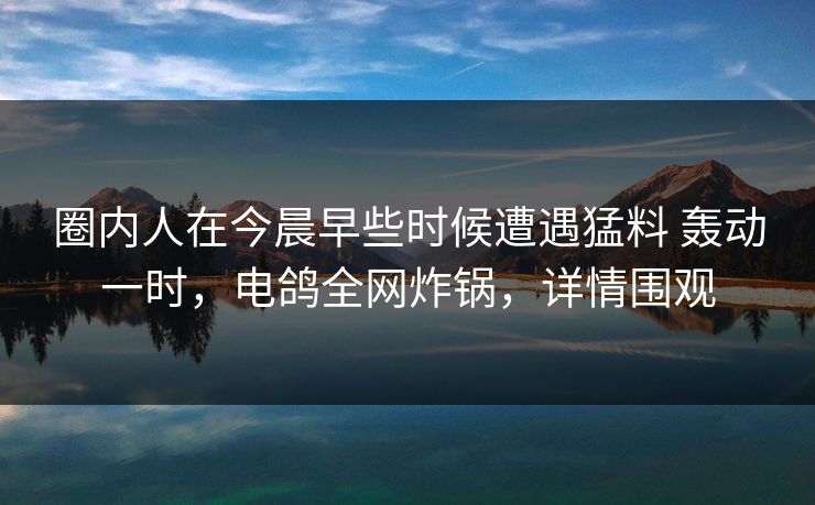 圈内人在今晨早些时候遭遇猛料 轰动一时，电鸽全网炸锅，详情围观