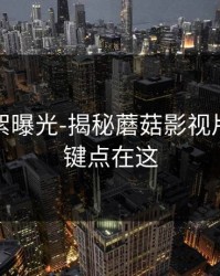 幕后花絮曝光-揭秘蘑菇影视片单：关键点在这