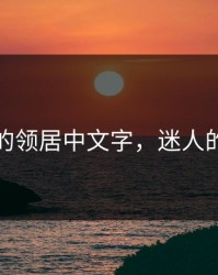 迷人的领居中文字，迷人的精彩
