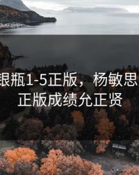 新版金银瓶1-5正版，杨敏思版本1-5正版成绩允正贤