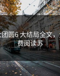 苏玉晴大团圆6 大结局全文，大团结免费阅读苏