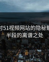 深入探讨51视频网站的隐秘魅力与后半段的离谱之处