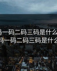 无人区码一码二码三码是什么ww，无人区码一码二码三码是什么样子