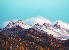 幕后花絮曝光-揭秘蘑菇影视片单：关键点在这