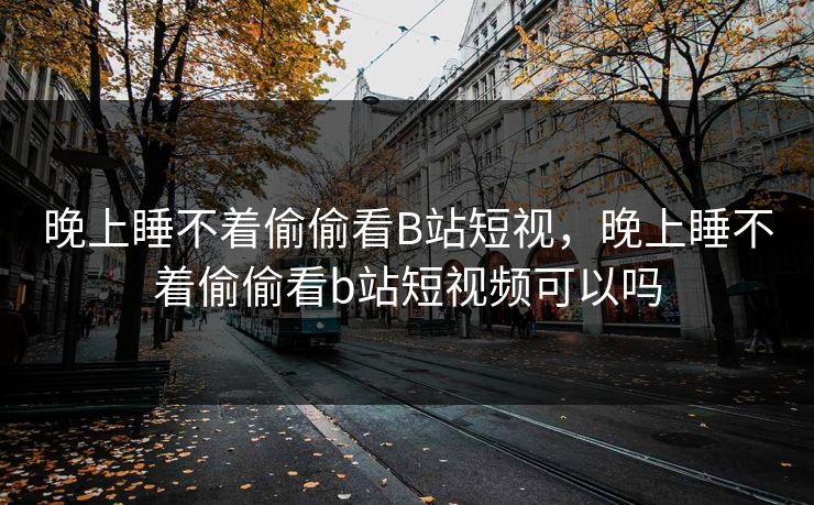 晚上睡不着偷偷看B站短视，晚上睡不着偷偷看b站短视频可以吗